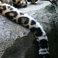 Dangling and Dozing