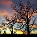 Dramatic Sky