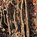 Jagged Little Rocks