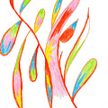 Petals