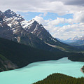 Peyto Lake